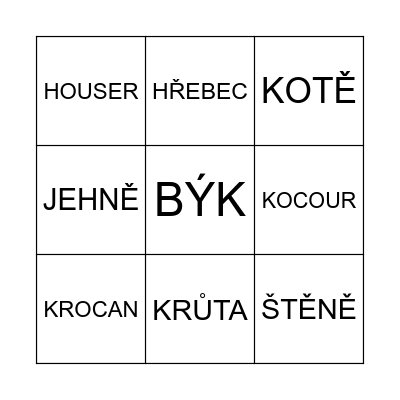 Animals Bingo Card