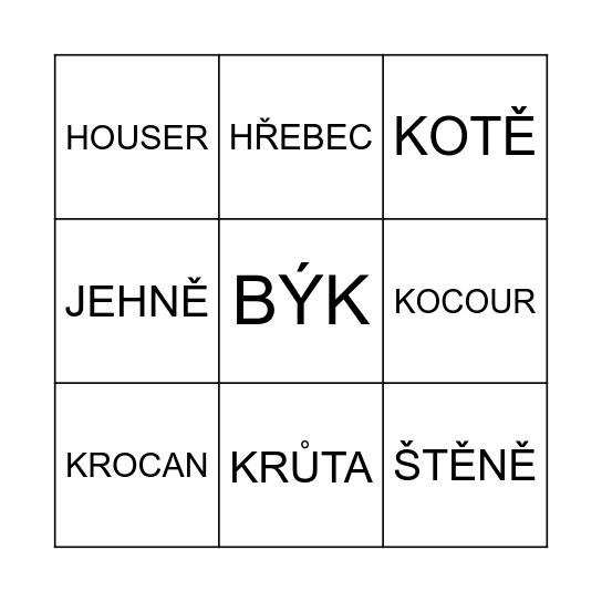Animals Bingo Card