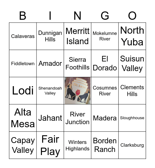 C.G. Di Arie Bingo Card