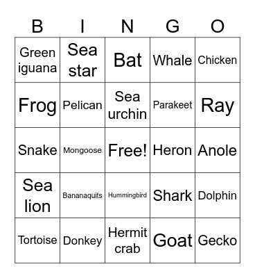 St. Thomas Wildlife Bingo Card