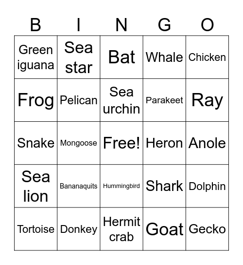 St. Thomas Wildlife Bingo Card