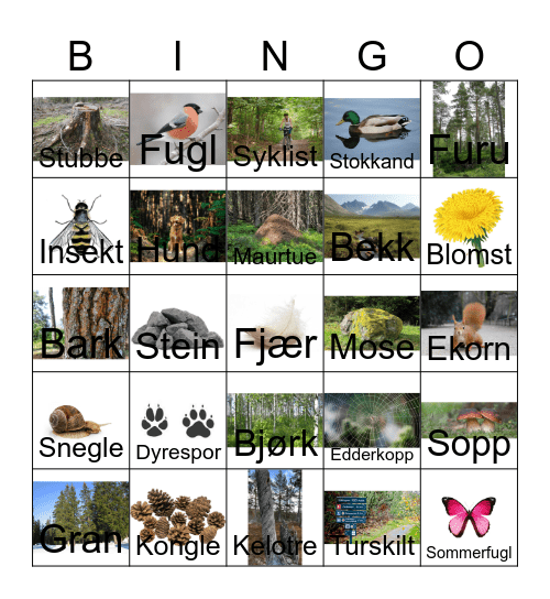 Naturbingo Card