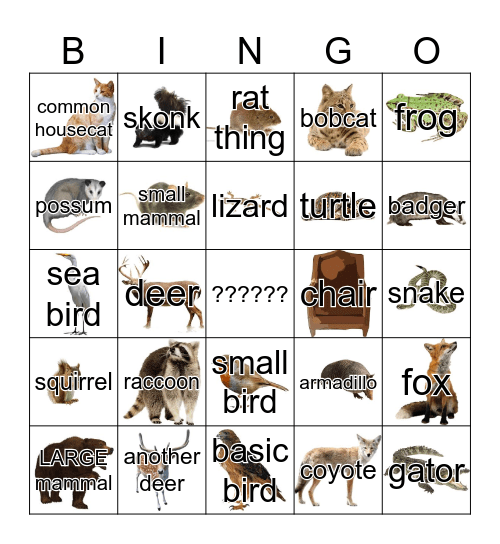 Roadkill Bingo Card