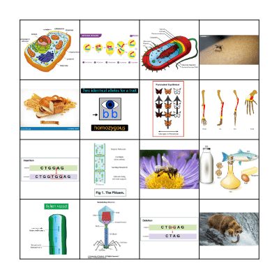 Biology Loteria Bingo Card