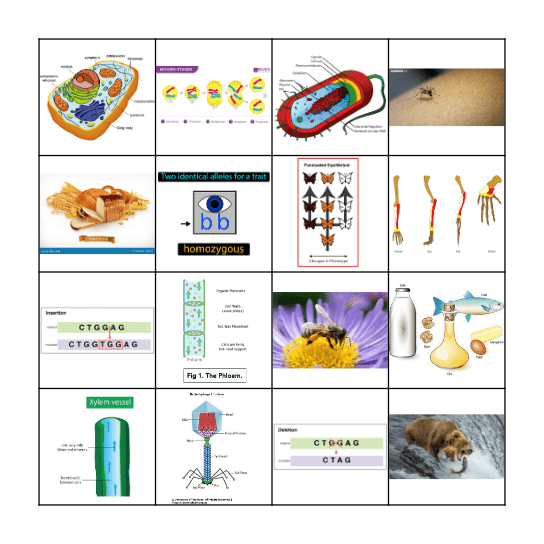 Biology Loteria Bingo Card