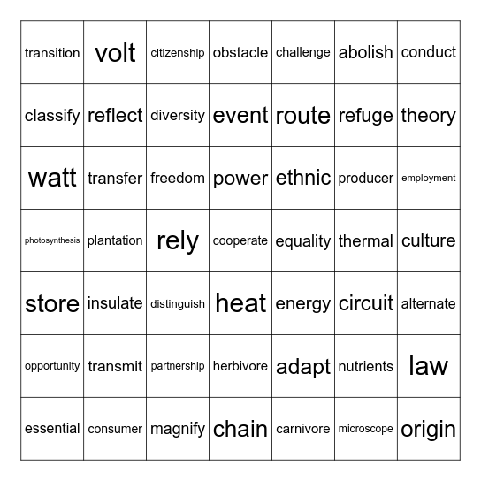 Bingo Card