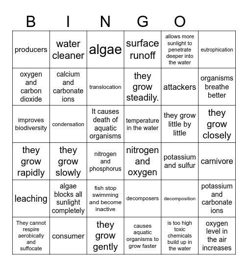 Group 2 Bingo Card