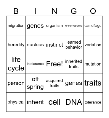 Genes and Traits Bingo Card