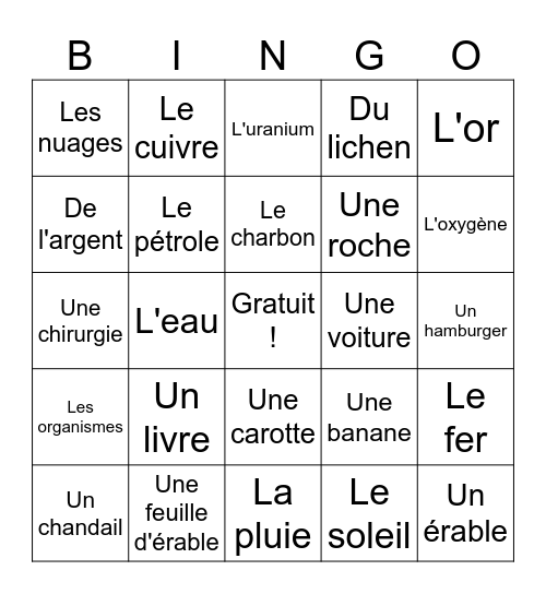 Les ressources naturelles Bingo Card