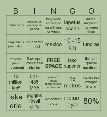bingo in north america! Bingo Card