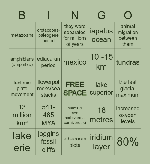 bingo in north america! Bingo Card