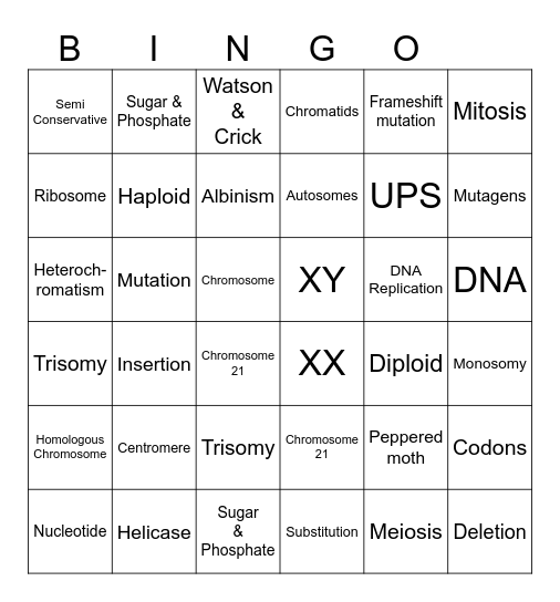 DNA Quiz Review Bingo Card