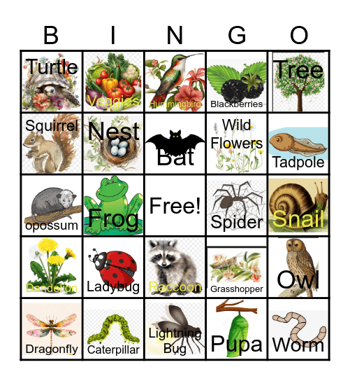 Spring Nature Bingo Card