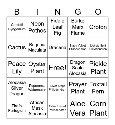 Plant Bingo Card