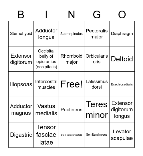 Muscle Memory Bingo Card