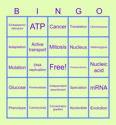 25-26 STAAR Review Bingo Card