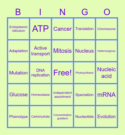 25-26 STAAR Review Bingo Card