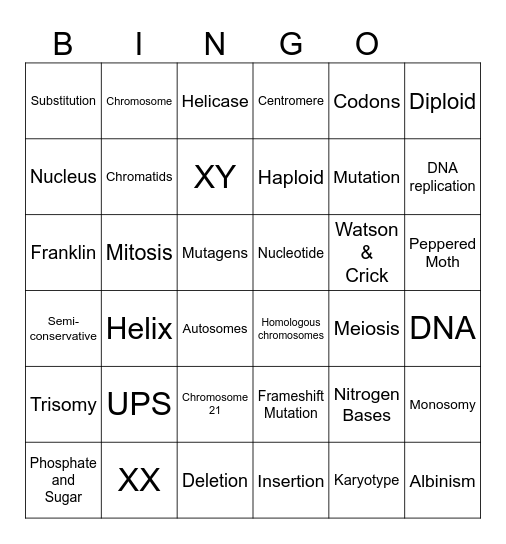 DNA Review Bingo Card