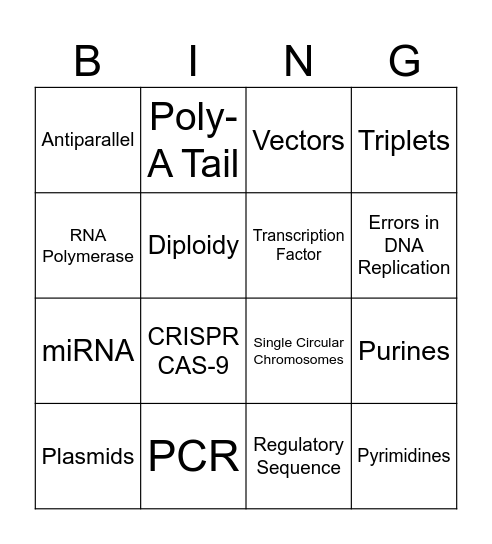 Unit 6 Review Bingo Card