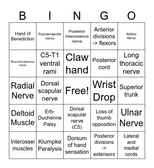 Brachial Plexus Bingo Card