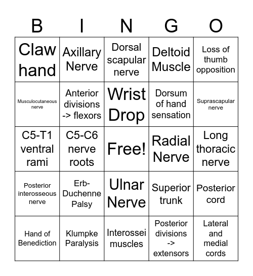 Brachial Plexus Bingo Card
