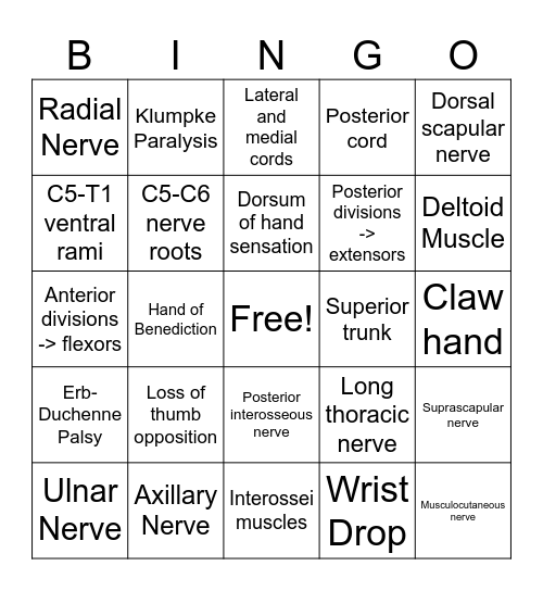 Brachial Plexus Bingo Card