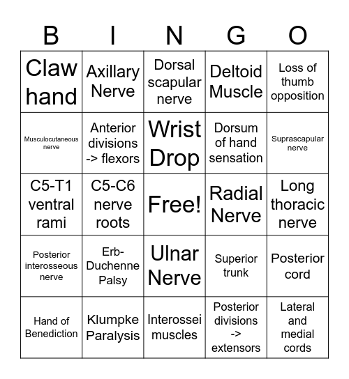 Brachial Plexus Bingo Card