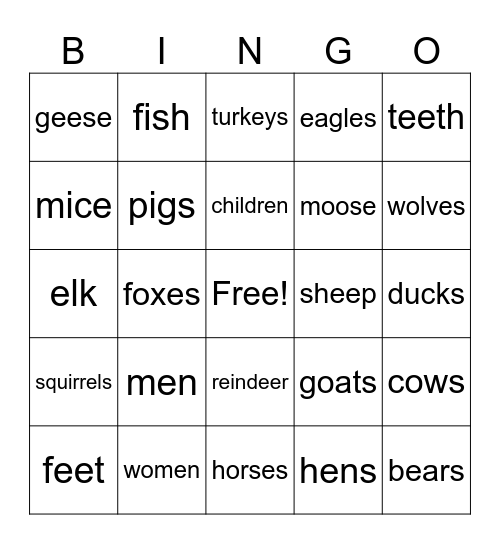 English plural regular and irregular Bingo Card
