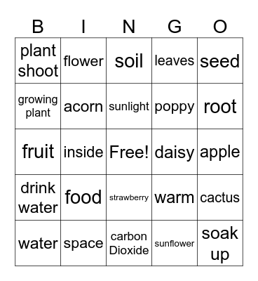 Plants Kindy Bingo Card