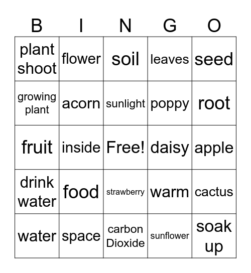 Plants Kindy Bingo Card