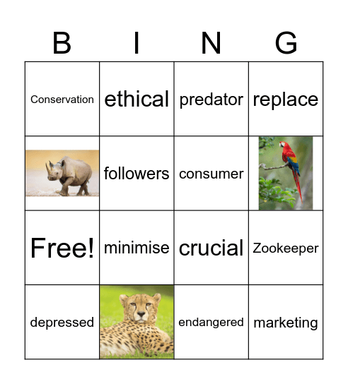 Vocabulary review Bingo Card