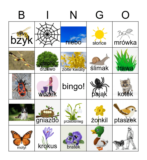 wiosna wiosna Bingo Card