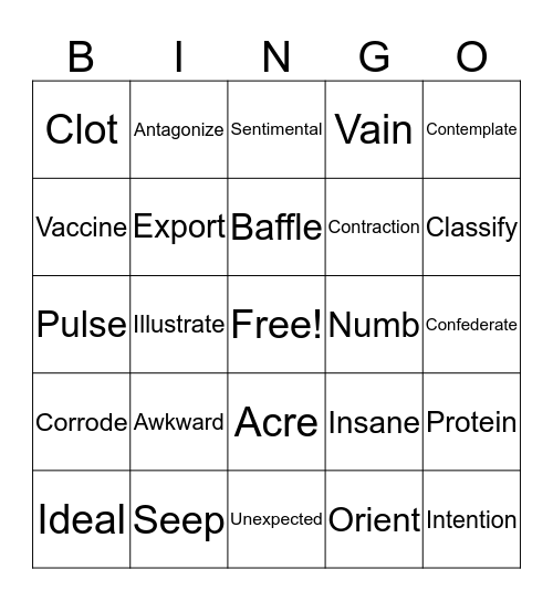 Vocabulary in Action Chapter 5 Bingo Card