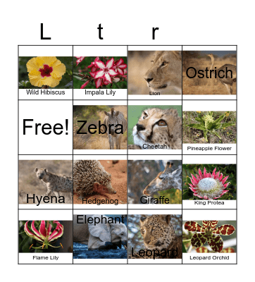 African Animals and Flowers Bingo Card
