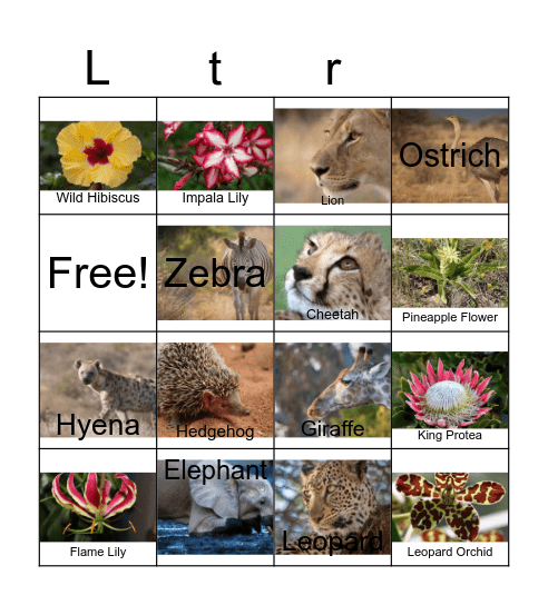 African Animals and Flowers Bingo Card