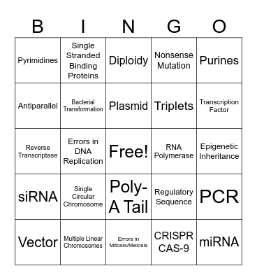 UNIT 6 Bingo Card