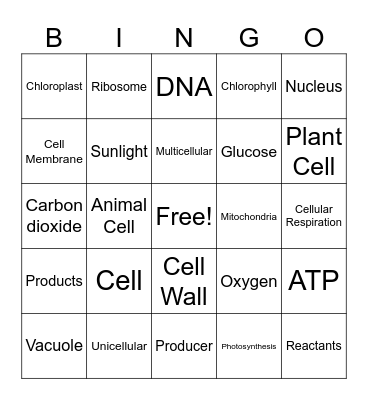 Cells Bingo Card