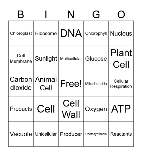 Cells Bingo Card