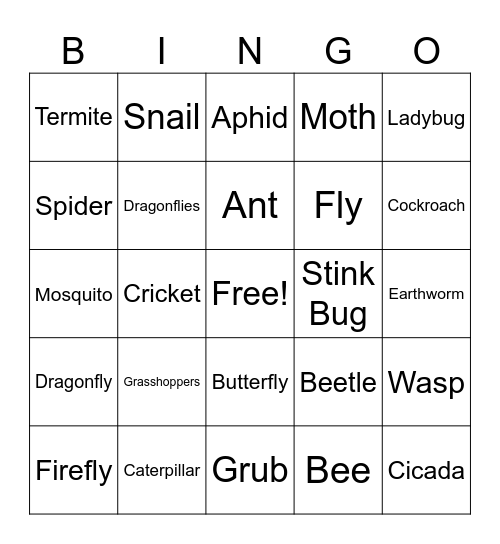 Name that Insect! Bingo Card