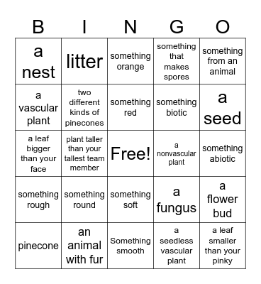 Nature Bingo! Bingo Card