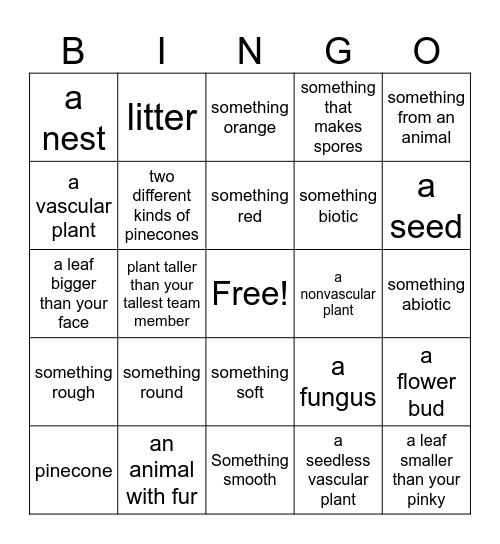 Nature Bingo! Bingo Card