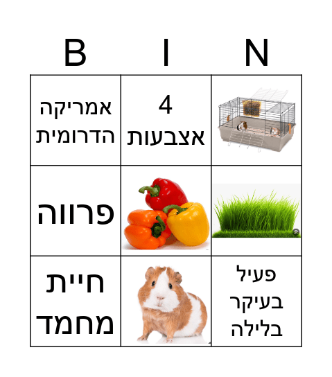 שרקנים Bingo Card
