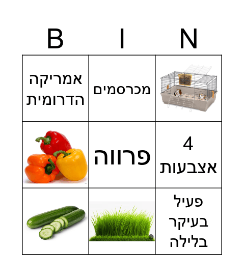 שרקנים Bingo Card