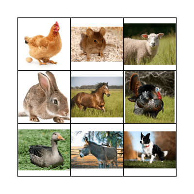 Farm Yard Bingo Card