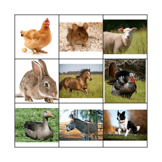 Farm Yard Bingo Card