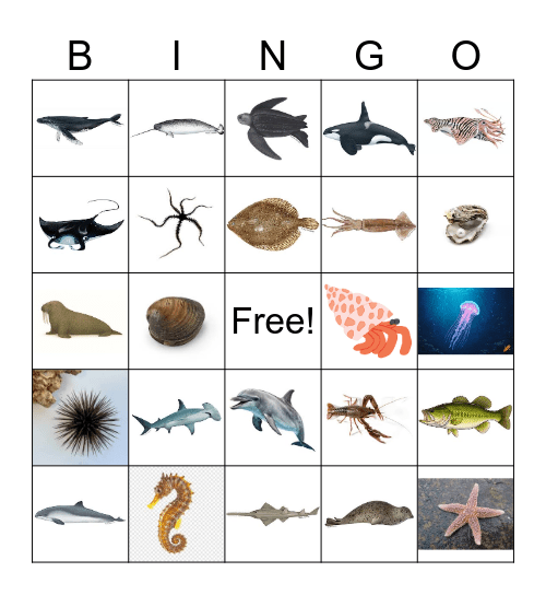 Swimming Creatures! Bingo Card