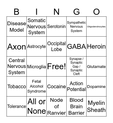 Chapter 2 Bingo Card