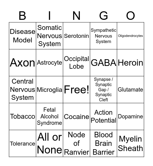 Chapter 2 Bingo Card