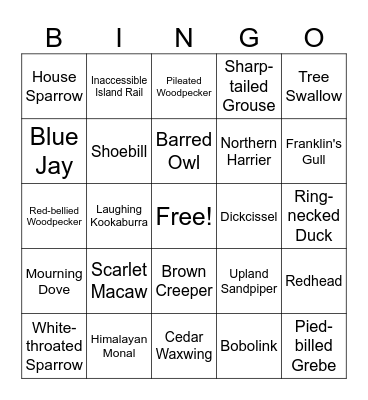 Bird Bingo Card