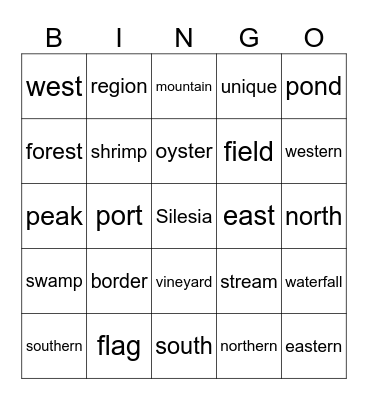 Bloggers 3 Unit 4A,B Bingo Card
